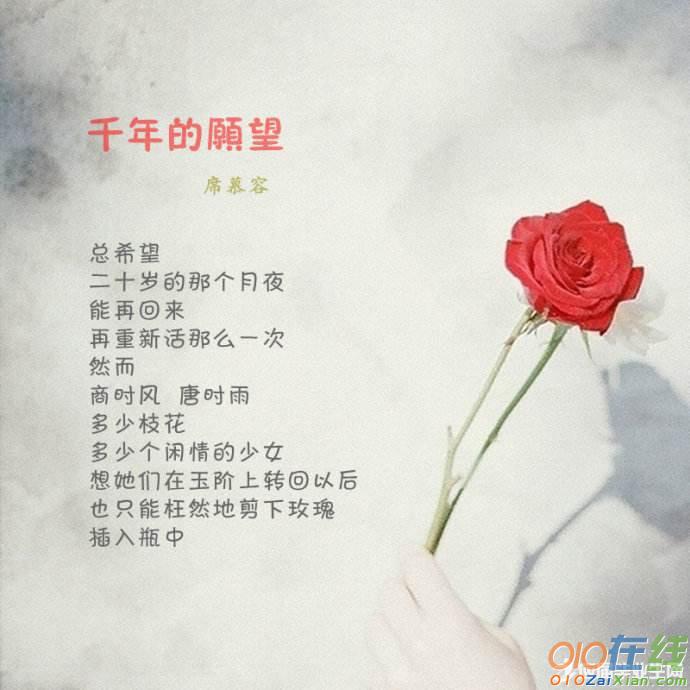 席慕蓉经典名诗名句