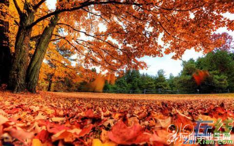 关于秋天描写景物的诗