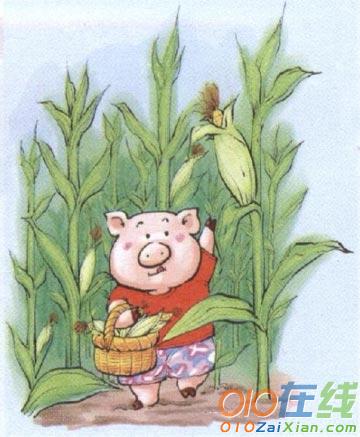 小猪种玉米儿童故事