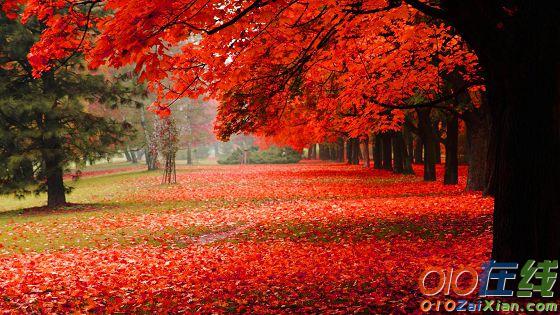 描写秋天的红叶的诗句