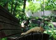 幼兒園關于春天的詩歌朗誦