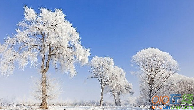 描写雪景的片段集绵