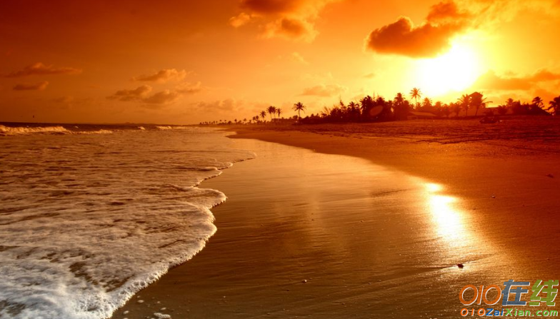 大海的清晨阳光的图片