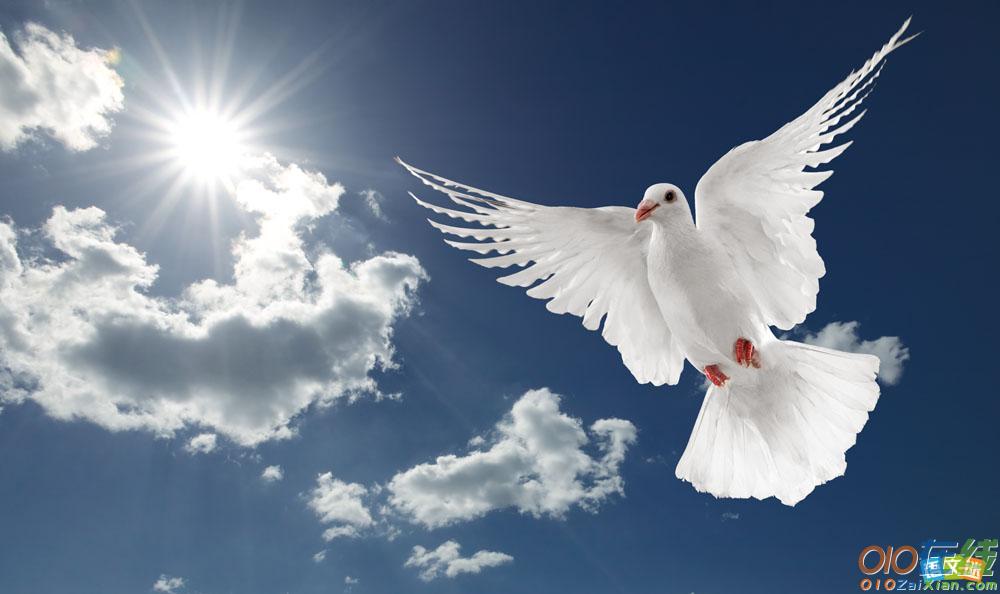 和平的作文素材：让和平永驻人间