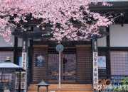 有關(guān)七夕節(jié)的詩(shī)句精選