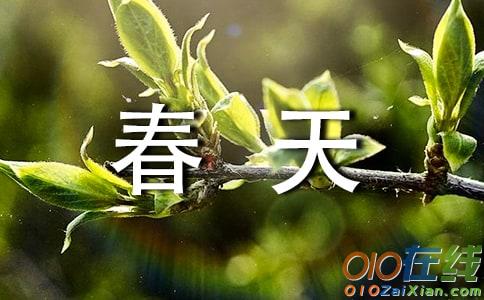 春天的雨七年级作文300字