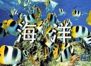 鄭州海洋館一日游作文