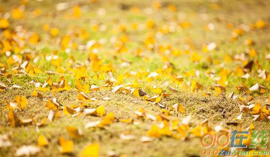 一片秋天的叶子诗歌