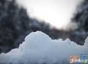 比喻雪的詩句文言文