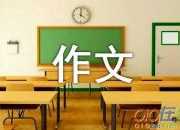 【精华】小小学三年级作文400字四篇