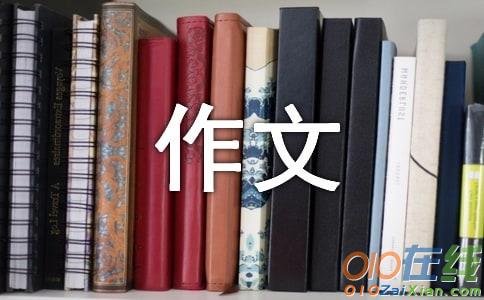 中国传统文化小学作文400字