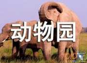 關于動物園小學作文500字9篇