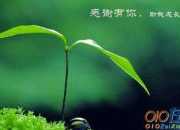 感謝朋友暖心的話語