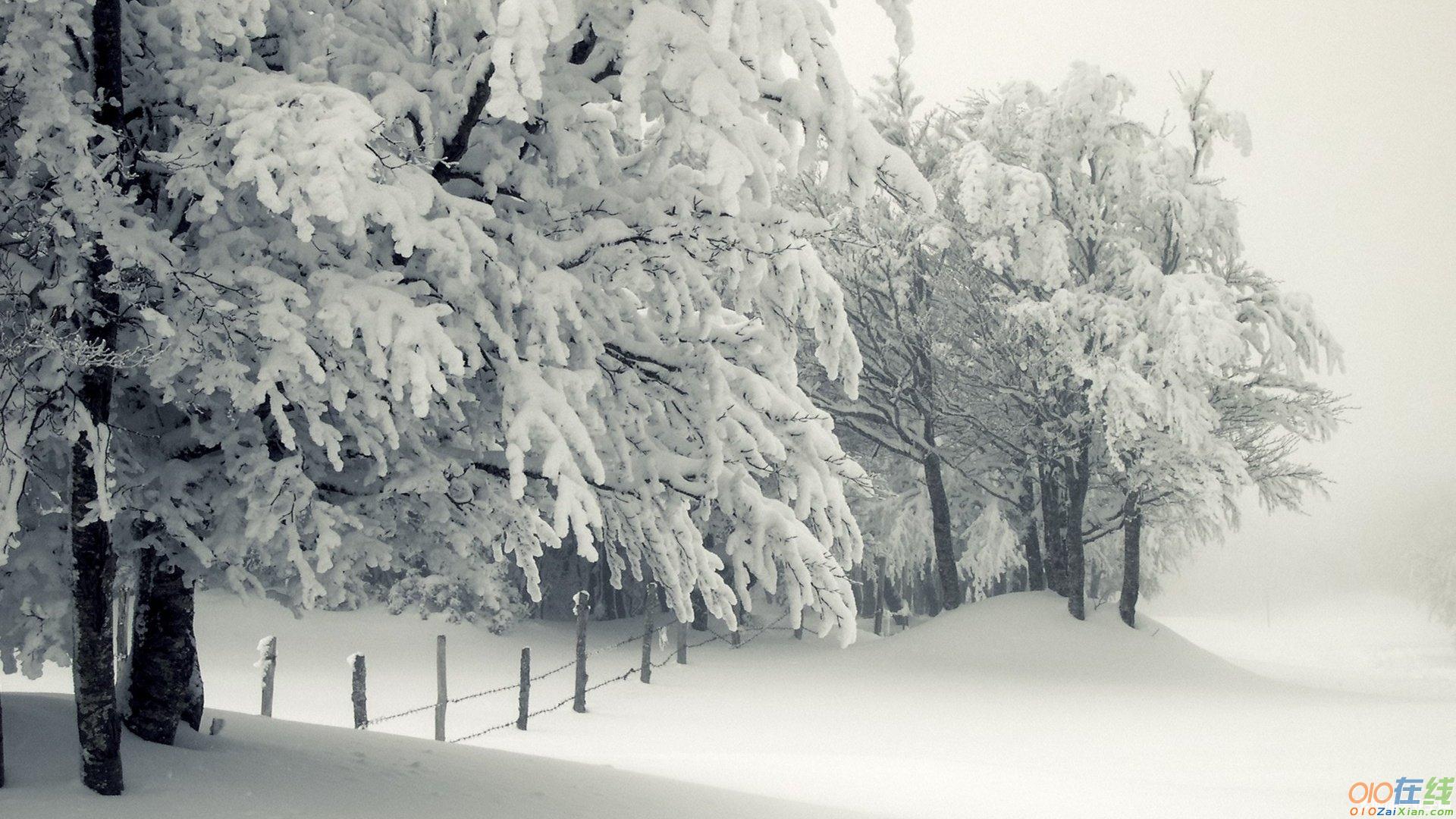 关于雪花的诗句精选