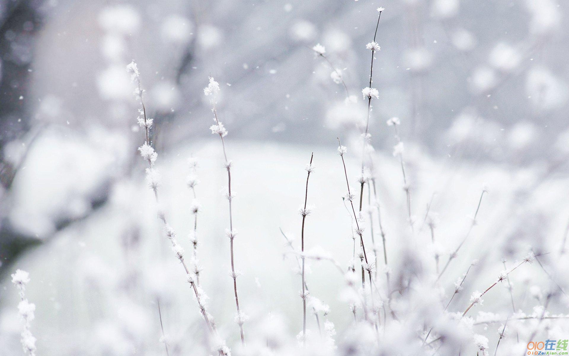 关于雪花的优美段落