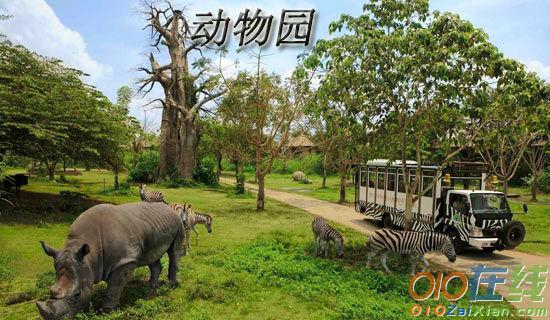 杭州野生动物园一日游三年级作文