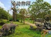 杭州野生动物园一日游三年级作文