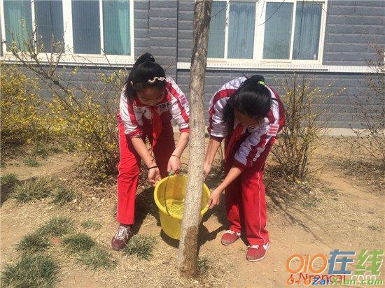 小学植树节活动新闻稿3篇