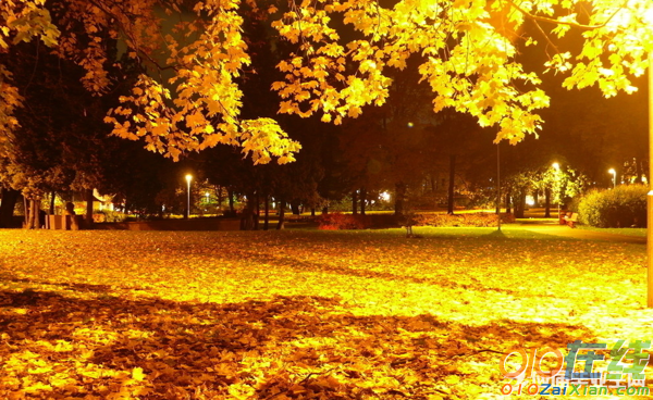 有关描写秋天的景色诗词