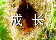 友誼陪伴我的成長作文