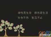 工作勵志句子大全