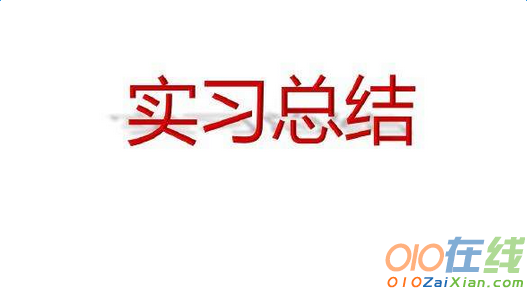 关于个人实习的总结精选