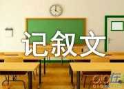 光陰素簡高中優秀記敘文