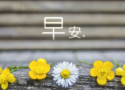 經典語錄的早安心語