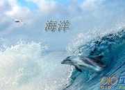 海洋的遐想話題作文600字