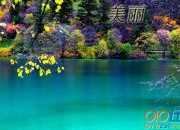 美麗心靈作文300字