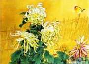 菊花的詩句古詩元稹
