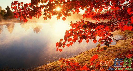 形容秋天美景的诗句有哪些