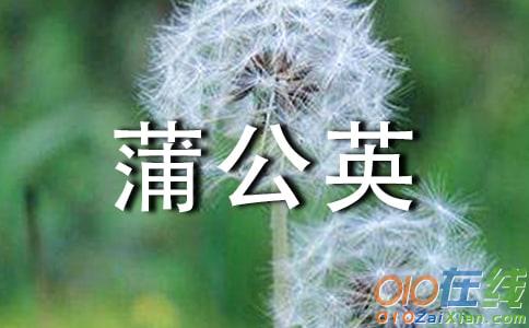 蒲公英高一散文