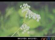關(guān)于人生感悟的句子精選