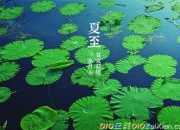夏至詩詞賞析