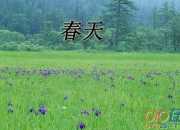 【實用】春天充滿希望作文300字四篇