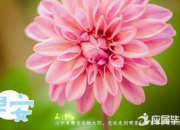 早安心語圖片正能量語錄
