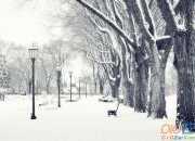 雪景的優美段落