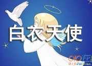 贊美白衣天使初中作文