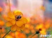 10個排比句每句8個字