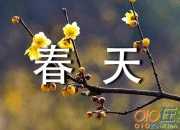 春天中的櫻花作文