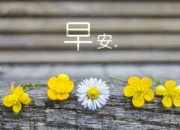 早安心語優美正能量句子