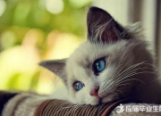 想念一個人的短句子