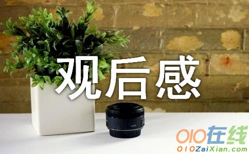 思政大课观后感