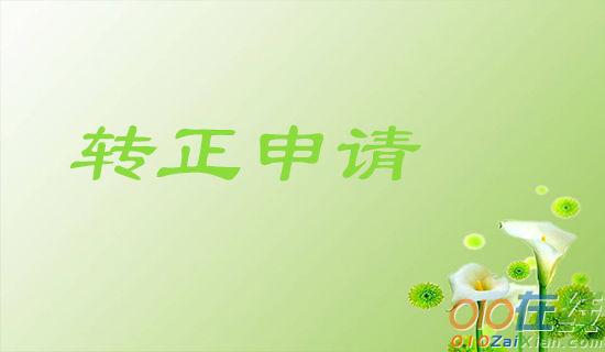 公司员工申请转正自我评价范文