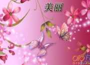 校園安全小故事500字