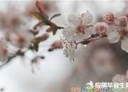 描寫下春雨的詩句