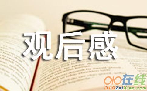 《北平无战事》观后感