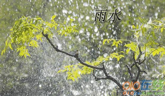 新农村建设中雨水利用研究论文