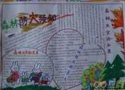 消防安全手抄報(bào)圖片 初中生